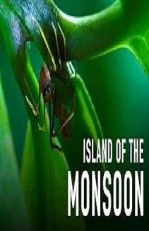 Island of the Monsoon