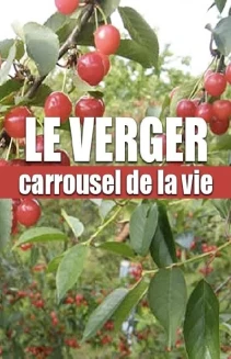 Karussell des Lebens - Die Streuobstwiese