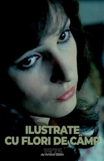 Postcards with Wildflowers