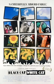 Black Cat, White Cat