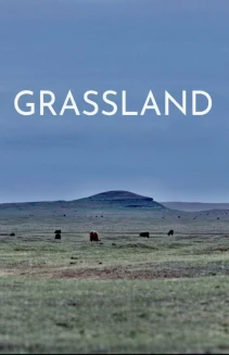 Grassland