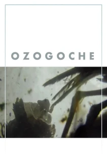 Ozogoche