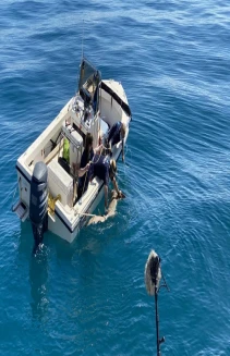 Shark Attack Investigation: The Paige Winter Story