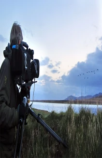 Wild Cameramen at Work