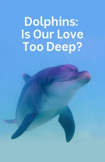 Dolphins, Is Our Love Too Deep?