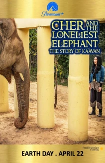 Cher and the Loneliest Elephant