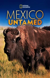 Mexico Untamed