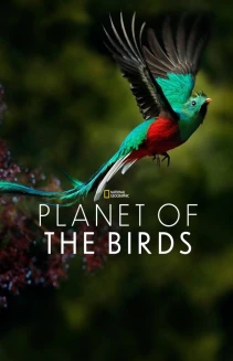 Planet of the Birds