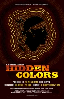 Hidden Colors