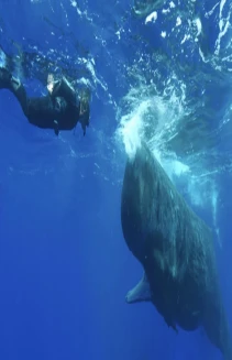 La planète des Géants