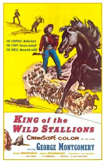 King of the Wild Stallions