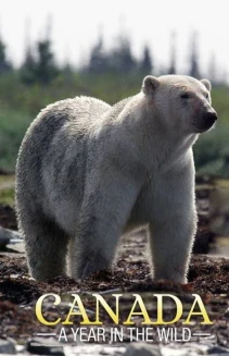 Canada: A Year in the Wild