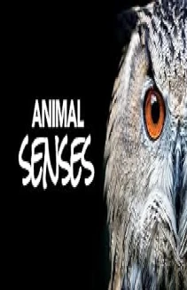 Animal Senses