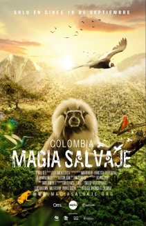 Colombia: Wild Magic